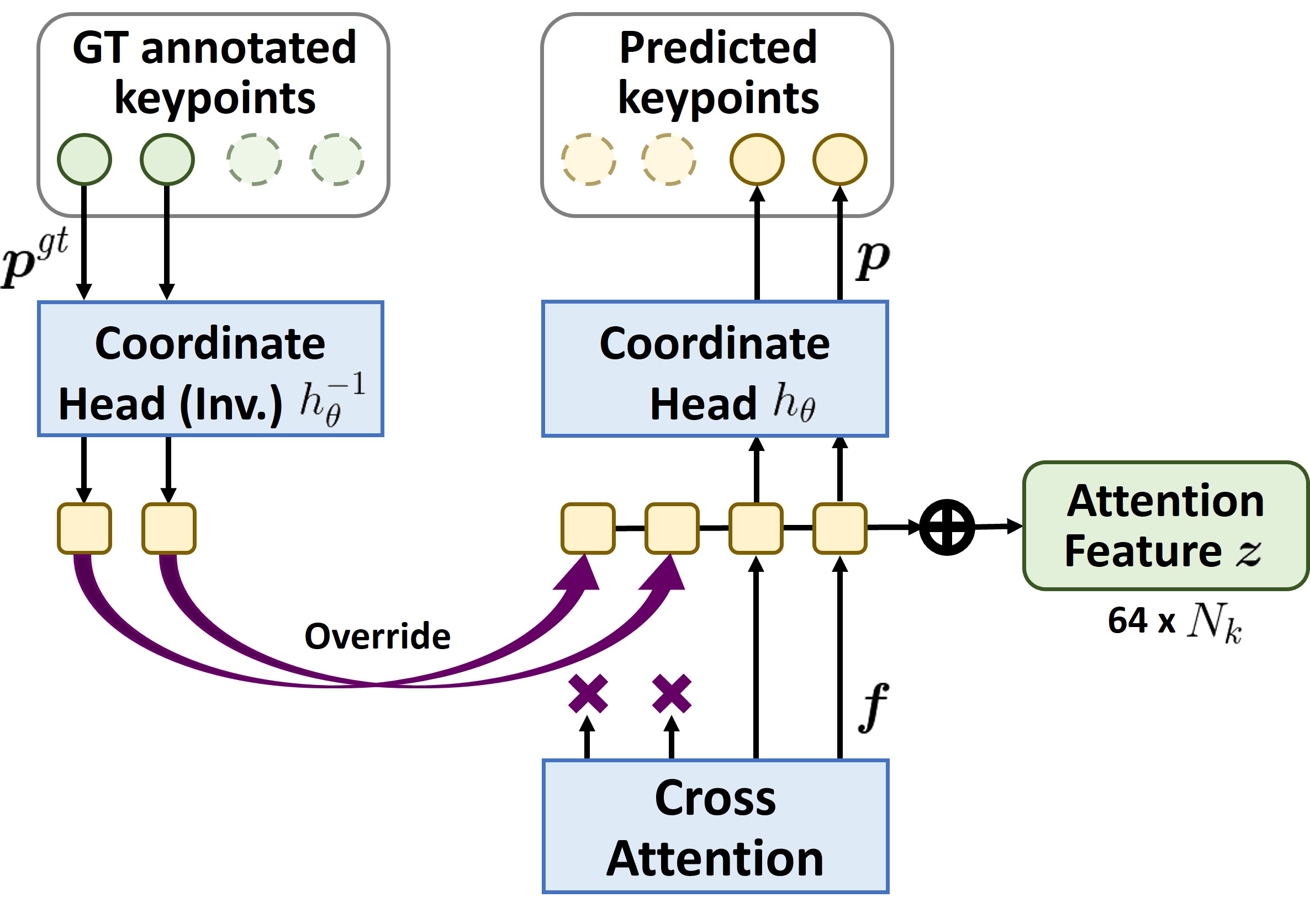 GuidedAttention keypoint override mechanism